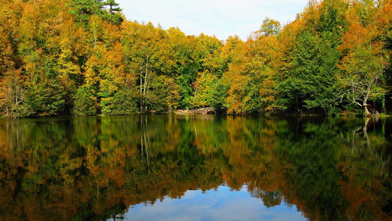 Yedigöller, Bolu kamp alanları