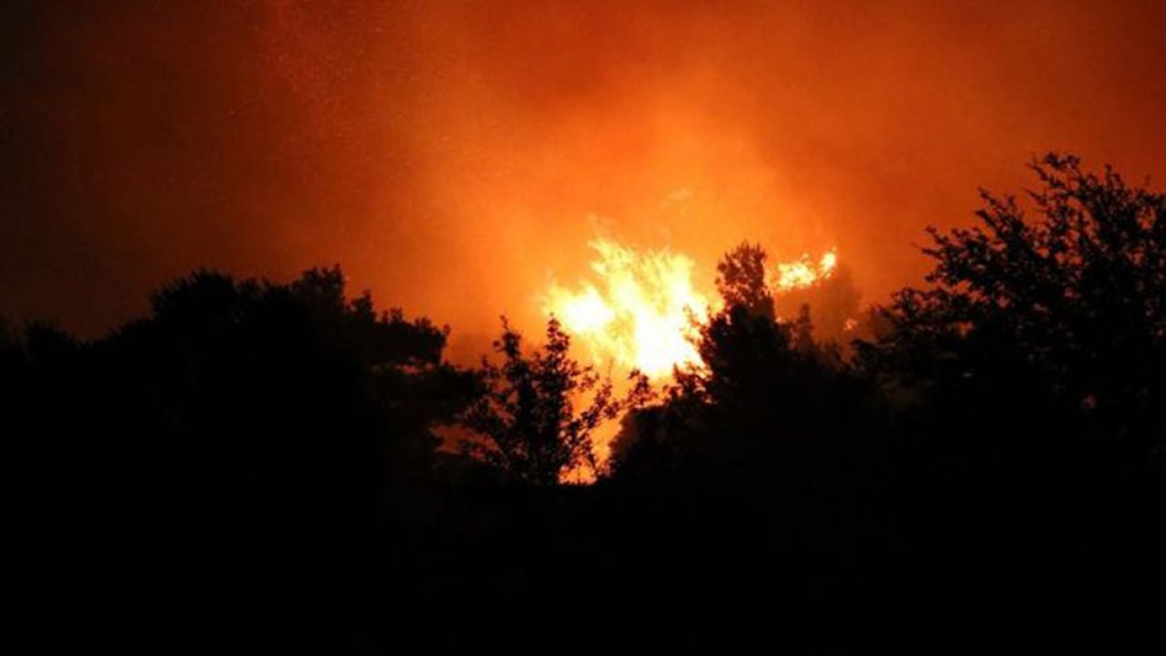 Bulgaristan'daki Yangın Türkiye Sınırına
