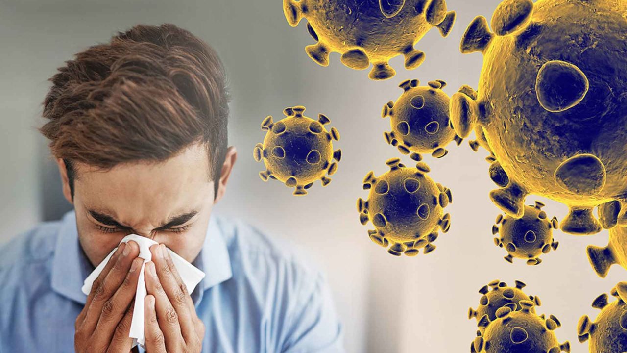 Koronavirüs Pandemisi Endemik