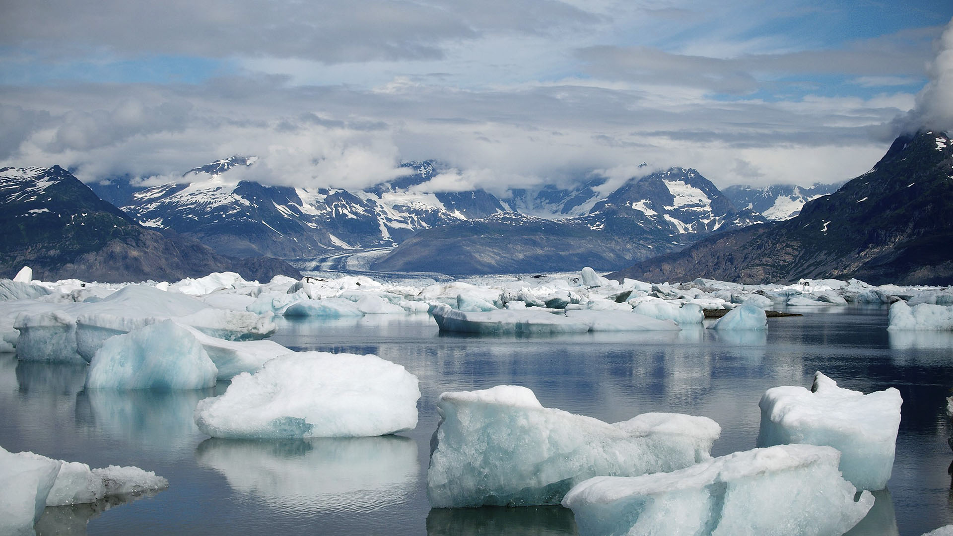 Kuzey Kutbundaki Buzullar Şimdiden Erimeye Başladı
