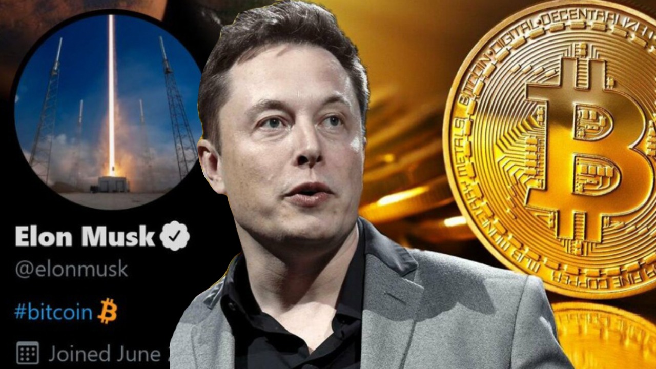 Elon Musk’ın Favori Kripto Parası Düşüyor! İşte Detaylar