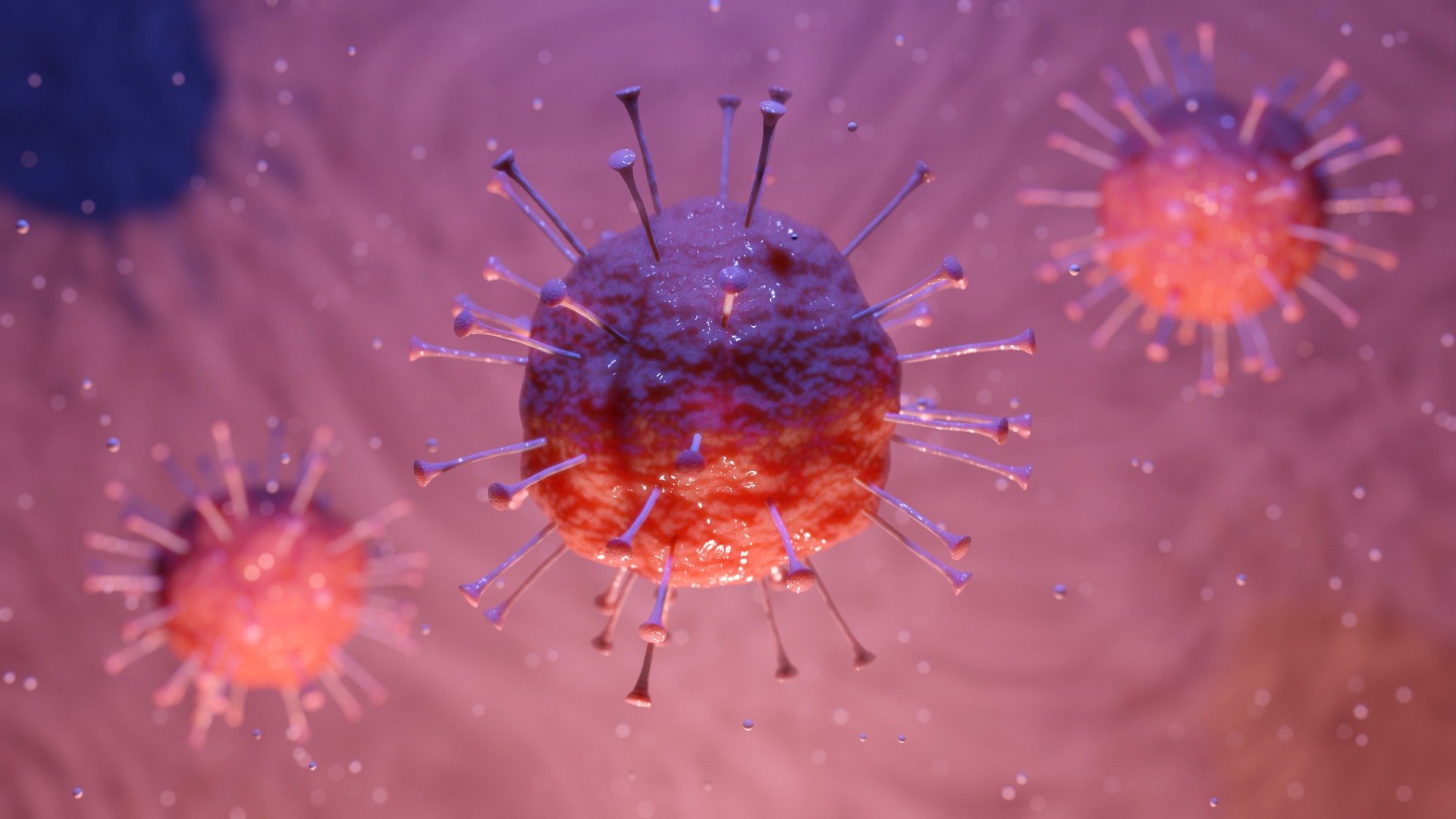 Akdeniz’deki Zehirli Bitki Tüm Koronavirüs Varyantlarını Engelliyor!