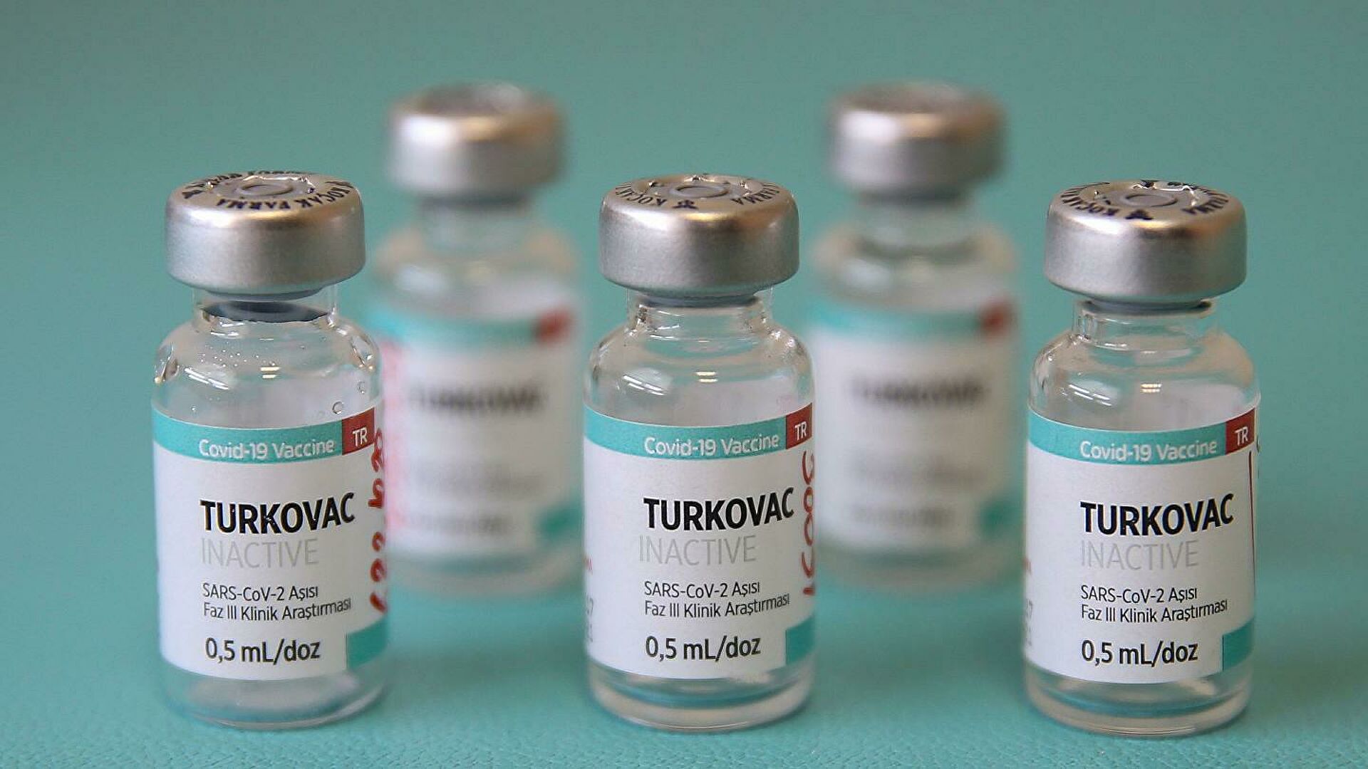 TURKOVAC Aşısı Artık Uygulanmaya Başlıyor!