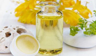 Karınca Yumurtası Yağı Faydaları ve Zararları Nedir?