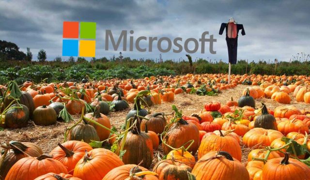 Microsoft, bir çiftçiye 76 milyon dolar ödedi! İşte sebebi